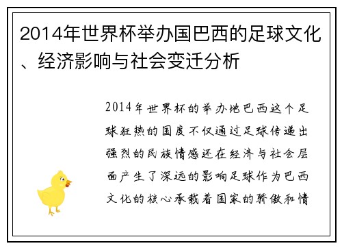2014年世界杯举办国巴西的足球文化、经济影响与社会变迁分析