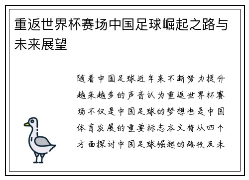 重返世界杯赛场中国足球崛起之路与未来展望